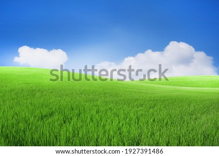 Green meadows with blue sky and clouds background.