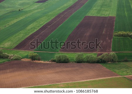 Green meadows in a rural landscape