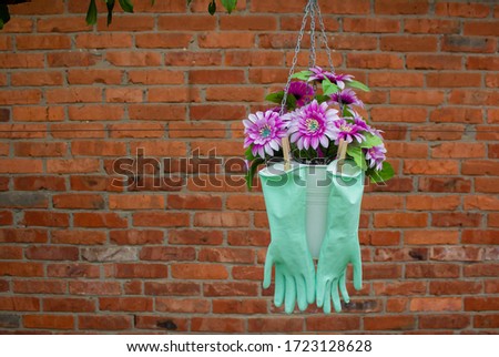 green medical gloves hang to dry among the flowers in the spring during the coronavirus epidemic