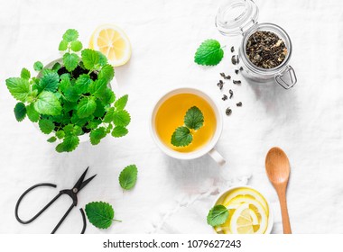 Green Melissa Lemon Tea On Light Background, Top View   