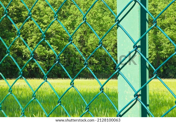 Green metal wire mesh against a green area of a
public park or private
property