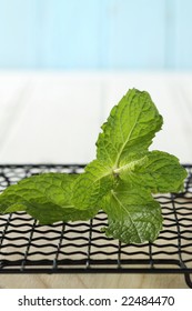 Green Mint Leave On A Black Rack With Blue Wooden Background.