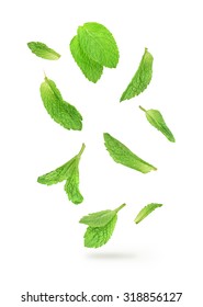 green mint leaves falling in the air isolated on white background - Shutterstock ID 318856127