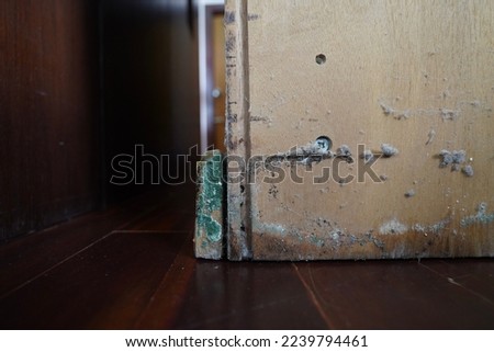 Green moldy wooden wardrobe  from humidity in the rainy season , Mold spots on furniture veneer, dirty wet wooden cabinets, abandoned after the flood.