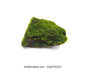 Green Moss Covered Stone Isolated On White Background, Selective Focus