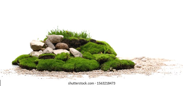 Green Moss With Decorative Rocks And Grass Isolated On White Background