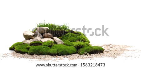 Green moss with decorative rocks and grass isolated on white background