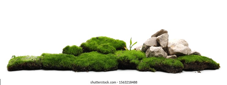 Green Moss With Decorative Rocks Isolated On White Background