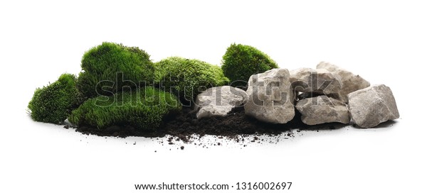 Green Moss Dirt Soil Decorative Stone Stock Photo Edit Now