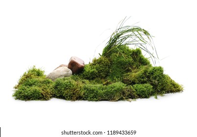 Green Moss With Grass And Rocks Isolated On White Background