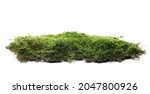 Green moss isolated on white background