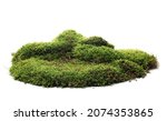 Green moss isolated on white background