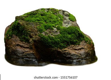 Green Moss Meadow On Rock In The Water Isolated On White Background. This Has Clipping Path.