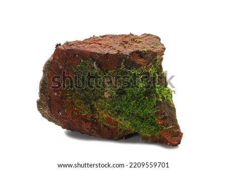 Green moss on old red brick isolated on white 