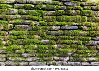 Green Moss On Old Stone Wall