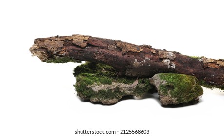 Green Moss On Rotten Branch And Stone Isolated On White, Side View