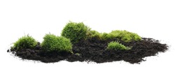 Green Moss On Soil, Dirt Pile, Isolated On White Background