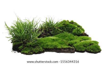 Green moss on soil, dirt pile with grass isolated on white background