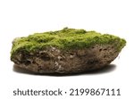 Green moss on stone, isolated on white  