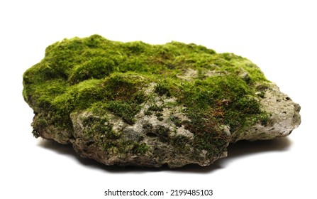 Green moss on stone, isolated on white background - Shutterstock ID 2199485103
