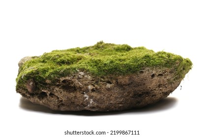 Green moss on stone, isolated on white   - Powered by Shutterstock