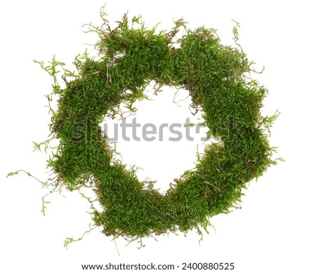 Green moss in shape circle isolated on white, top view