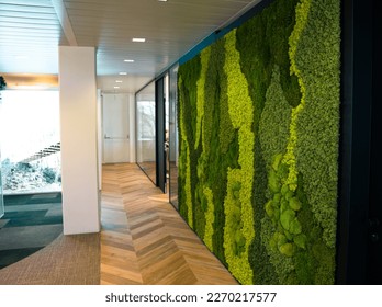 Green moss wall panel in office for greenoffice  - Shutterstock ID 2270217577