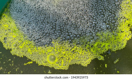 Green moss wastewater  Oxygen therapy - Shutterstock ID 1943925973