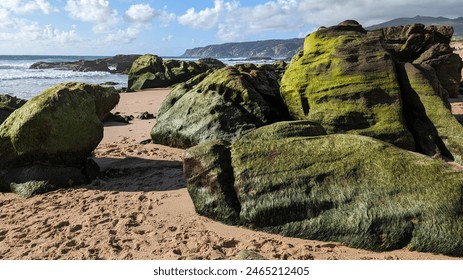 Green moss-covered rocks on the sandy beach with the ocean in the background - Powered by Shutterstock