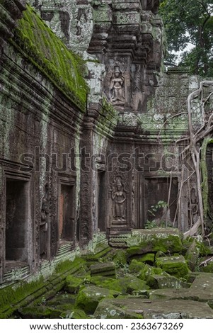 Green moss-covered stone building and bricks and tree roots at Ta Prohm Tomb Raider ruin temple complex. Angkor Wat historical site, Siem Reap, Cambodia