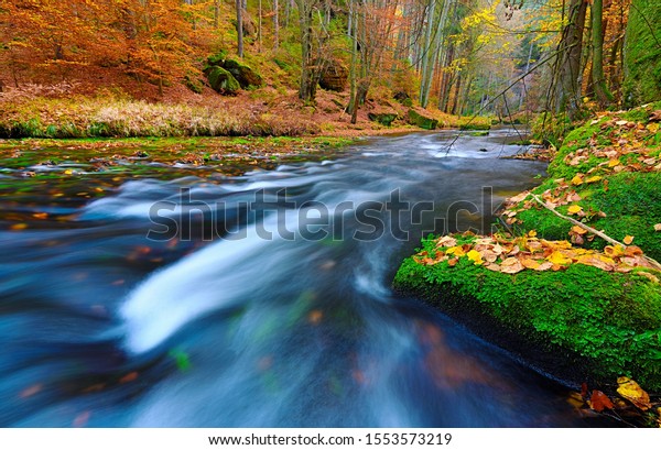Green mossy boulders with orange dots of beeches and\
maple leaves. Leaves forest divided with mountain river with clear\
cold water. 