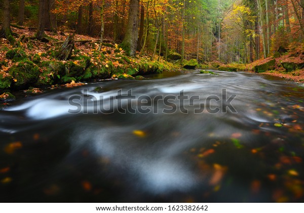 Green mossy boulders with orange dots of beeches and\
maple leaves. Leaves forest divided with mountain river with clear\
cold water. 