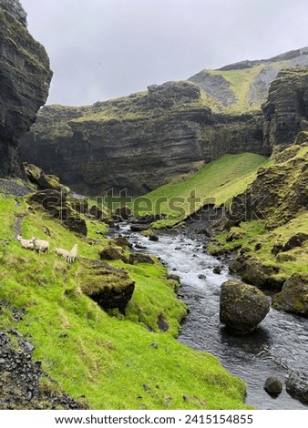 A green, mossy gorge leading towards Kvernufoss waterfall in southern Iceland