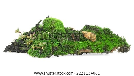 Green mossy hill with grass and leaves on soil, isolated on a white background.