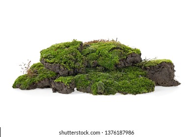 Green Mossy Hill Isolated On White Background