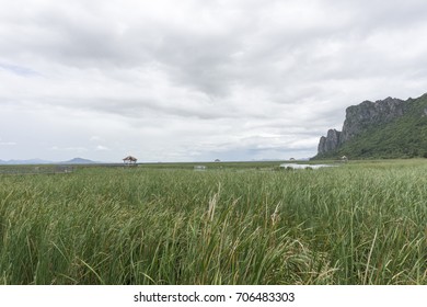green mountain