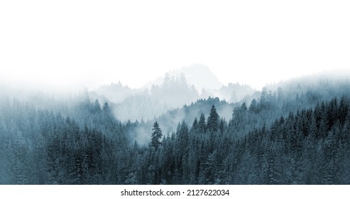 Green Mountain Forest In The Fog. Evergreen Spruce And Pine Trees On The Slopes. Nature Painting.