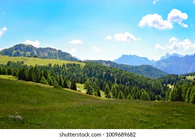 Green mountain forest landscape. Fantastic forest landscape. Mountain forest in clouds landscape. Mountain forest landscape.  - Shutterstock ID 1009689682