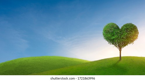 Green mountain with heart shape tree under blue sky. Beauty nature,for good environment. - Shutterstock ID 1721863996