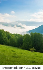 green mountain landscape. gorgeous weather with fog rising above the distant valley. deciduous forest behind the grassy meadow on the hill. beautiful nature scenery in morning light beneath a blue sky - Shutterstock ID 2127588218