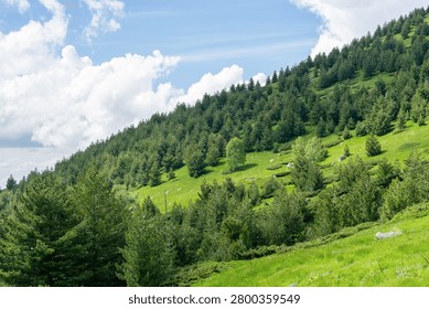 Green mountain landscape with sparse trees and distant peaks under a vibrant blue sky