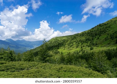 Green mountain landscape with sparse trees and distant peaks under a vibrant blue sky