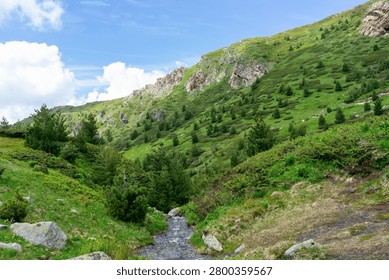 Green mountain landscape with sparse trees and distant peaks under a vibrant blue sky