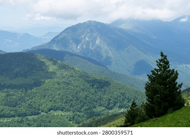 Green mountain landscape with sparse trees and distant peaks under a vibrant blue sky