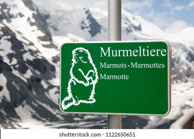 Green mountain marmot sign at the panoramic view point kaiser-franz-josefs-höhe at the Grossglockner High Alpine Road in Austria.