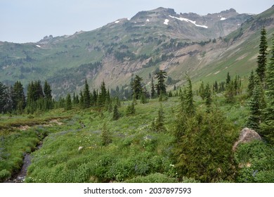 A Green Mountain Side Leading Up To Goat Lake In Washington.