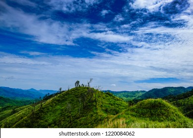 The Green Mountain View