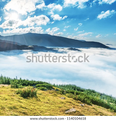 Similar – Foto Bild Grüne Berge in den Wolken