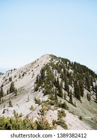 Green Mountaintop Covered In Trees