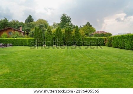 green mowed lawn in a large garden or in a park. plant care in parks. Landscaping.